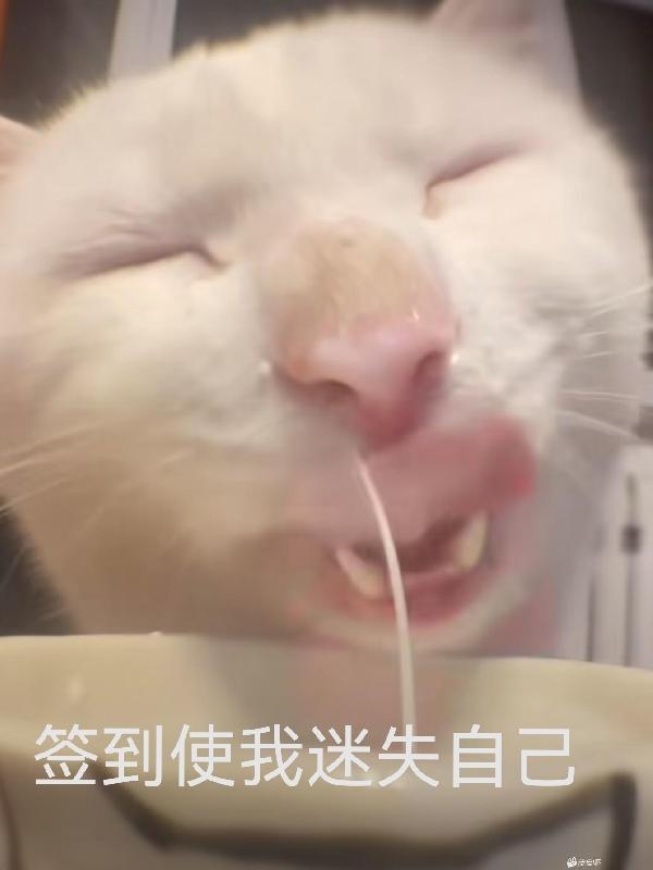 书名我