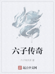 六子数码