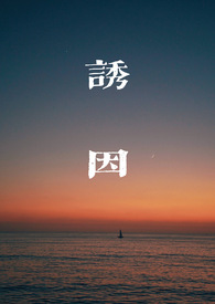 诱因价值英文