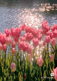 水果硬糖好看吗?