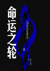 命运之轮jojo